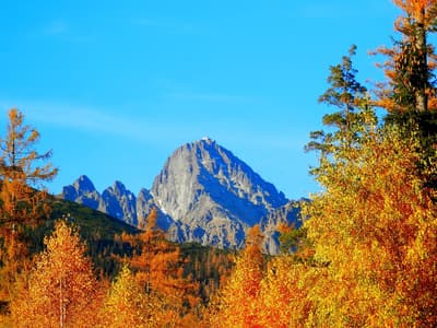 Herbst